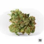 Семена конопли AK от Bulk Seed Bank в Smartshop-smartshop.ua®